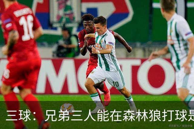 三球：兄弟三人能在森林狼打球是梦想成真 到时让大球打控卫
