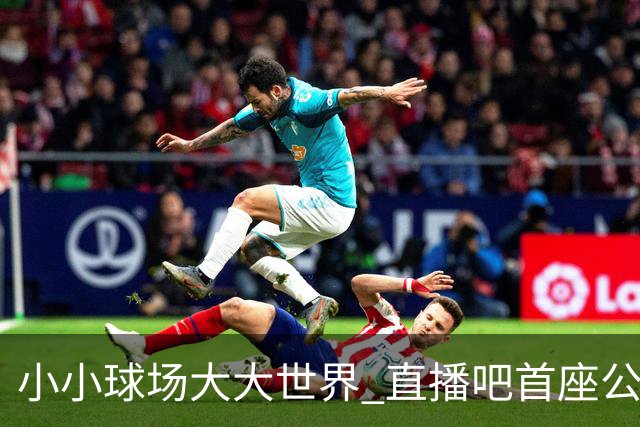 小小球场大大世界 直播吧首座公益足球场在贵州落成