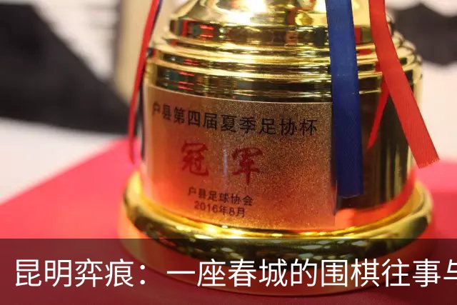 昆明弈痕：一座春城的围棋往事与求道新局