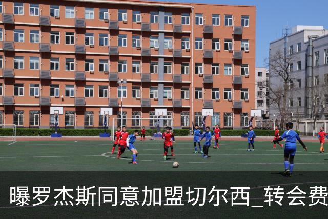 曝罗杰斯同意加盟切尔西 转会费1.17亿镑合同期6+1年