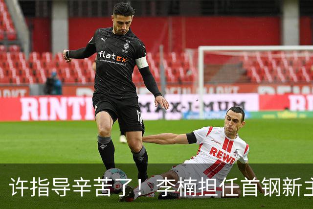 许指导辛苦了！李楠担任首钢新主帅 赵睿态度非争冠唯一障碍